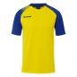 Preview: Ambition 28 Shirt