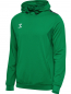 Preview: Authentic Hoodie