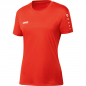 Preview: Trikot Team KA