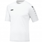 Preview: Trikot Team KA