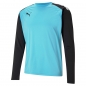Preview: PACER Torwarttrikot