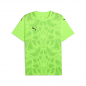 Preview: team ULTIMATE Jersey