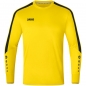 Preview: Power Torwart-Trikot