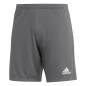 Preview: Entrada 22 Short