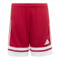 Preview: Squadra 25 Short