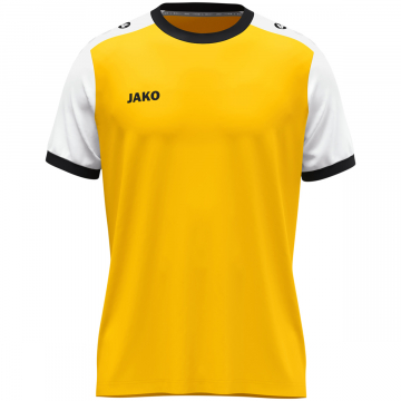 Trikot Dynamic KA