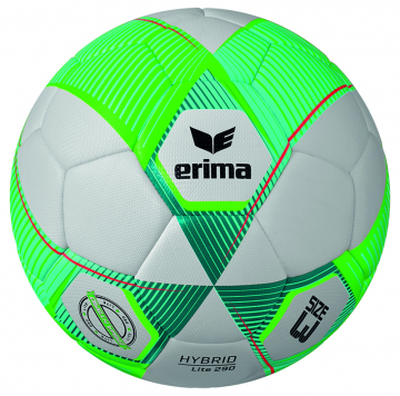 Hybrid Lite 290