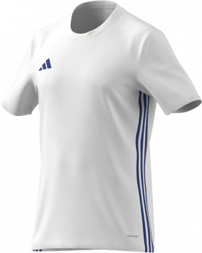 Tabela 23 Trikot